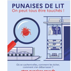 Affiche punaises de lit