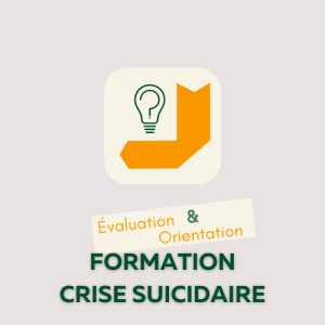 Formation Crise Suicidaire Module Évaluation