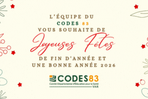 Joyeuses Fêtes 2024