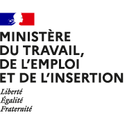 Ministère du travail de l'emploi et de l'insertion